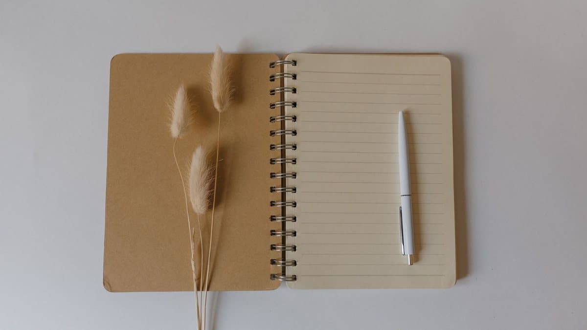 Un carnet ouvert avec un stylo posé dessus et quelques graminées séchées